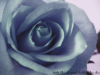 <img100*0:http://elftown.heddate.com/stuff/lin-30daystwelve08.png>