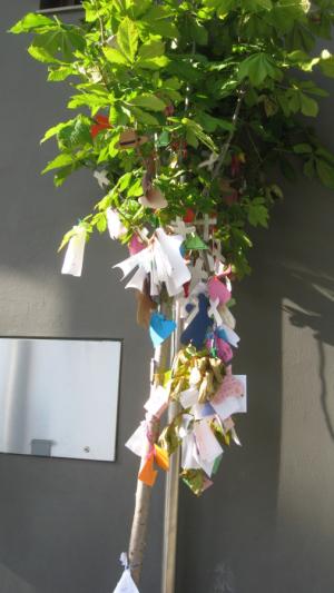 <img300*0:http://elftown.heddate.com/stuff/lin-wishtree.jpg>