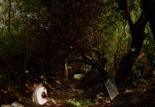 <img500*0:stuff/linmanip-flight.jpg>