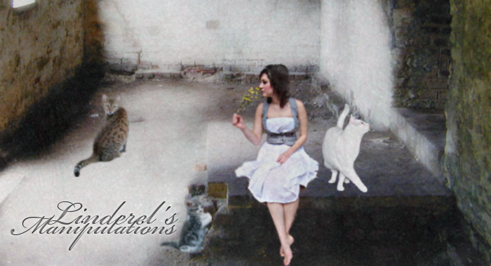 <img:stuff/linmanipsbanner.png>