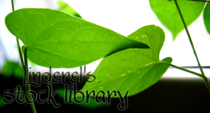 <img:stuff/linstocklibrary.png>