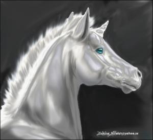 <img300*0:stuff/littlecutefoalunicornzabl.jpg>