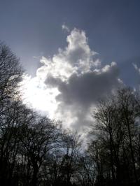 <img200*0:stuff/lm_comp6.jpg>