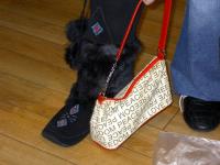 <img200*0:stuff/lm_comp9.jpg>