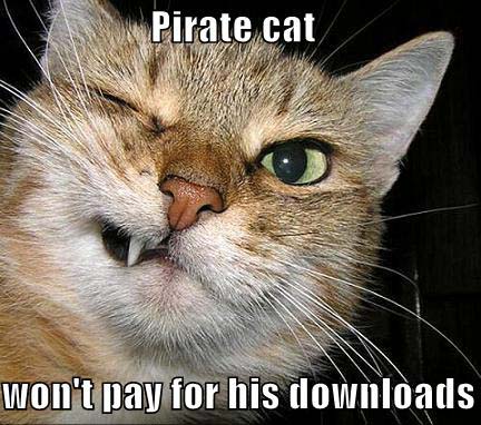 <img:stuff/lolcat9.jpg>