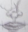 <img100*0:stuff/lolnoselips3.jpg>