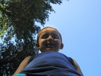 <img0*300:stuff/looking%20up%201.jpg>