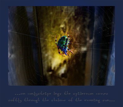 <img400*0:stuff/lullaby%20css.png>