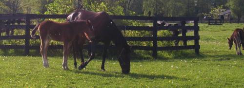 <img500*0:stuff/m%26c%20m21%207a.jpg>