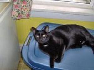 <img300*0:stuff/m_eeef4fcec0bc4ebdb3df74f811f037c5.jpg>