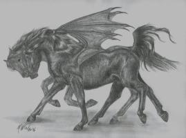 <img0*200:stuff/magnusandcarter_4865.jpg>