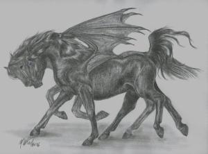 <img300*0:http://elftown.heddate.com/stuff/magnusandcarter_4865.jpg>