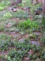 <img0*200:stuff/may%202-4%20b.jpg>