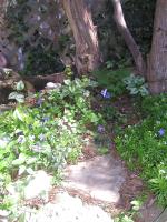 <img0*200:stuff/may%202-4%20d.jpg>
