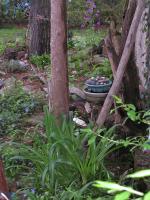 <img0*200:stuff/may%202-4.jpg>