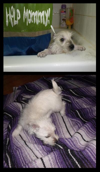 <img400*0:stuff/meadhbh%20bath%201.jpg>
