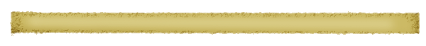 <img:stuff/meetdivider.gif>