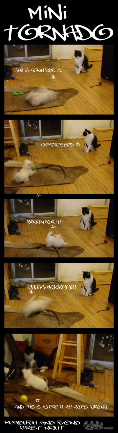 <img400*0:stuff/mini%20tornado.png>