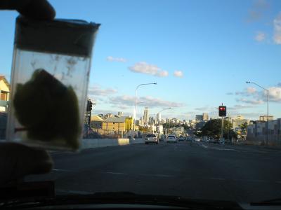 <img400*0:stuff/mm%20in%20brisbane.jpg>