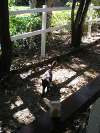 <img200*0:stuff/mm%20my%20house%20003.jpg>