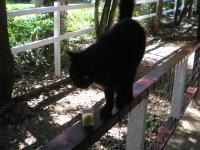 <img200*0:stuff/mm%20my%20house%20004.jpg>