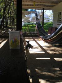 <img200*0:stuff/mm%20my%20house%20005.jpg>