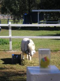 <img200*0:stuff/mm%20my%20house%20012.jpg>