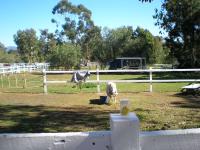 <img200*0:stuff/mm%20my%20house%20013.jpg>