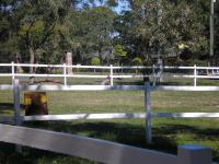 <img200*0:stuff/mm%20my%20house%20014.jpg>