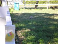 <img200*0:stuff/mm%20my%20house%20018.jpg>