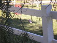 <img200*0:stuff/mm%20my%20house%20022.jpg>