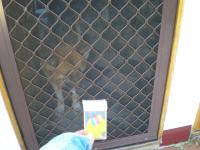 <img200*0:stuff/mm%20my%20house%20034.jpg>