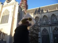 <img200*0:stuff/mm_pieterskerk.jpg>