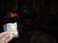 <img200*0:stuff/mm_squatroom.jpg>