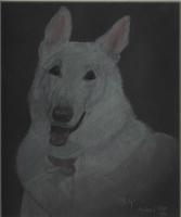 <img0*200:stuff/molly1_14597.jpg>