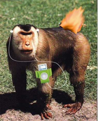 <img:stuff/monkey%20was%20ass%20on%20fire.jpg>