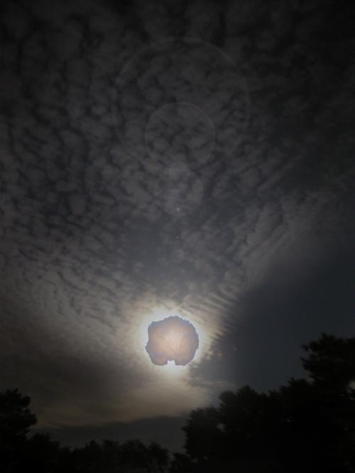<img500*0:stuff/mooncat%20moon.png>