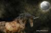 <img100*0:http://elftown.heddate.com/stuff/moonhorse%20(kopia).jpg>