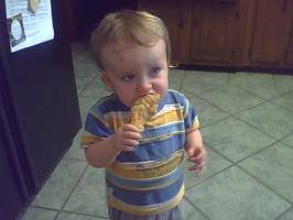 <img0*200:stuff/mordisky006.jpg>