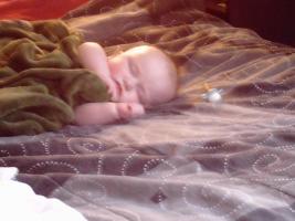 <img0*200:stuff/mordisky008.jpg>
