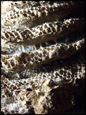 <img300*0:stuff/morgana_home.jpg>