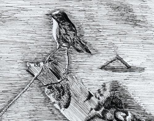 <img500*0:stuff/msbirdbw2.jpg>