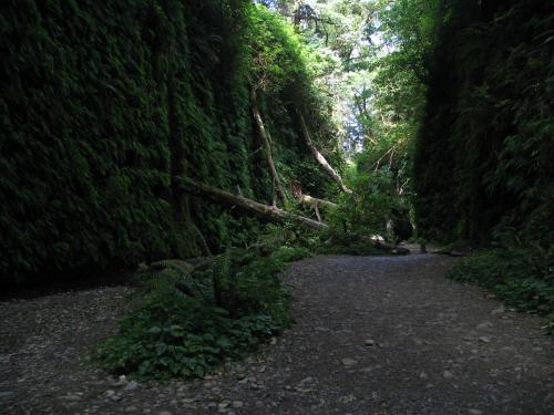 <img500*0:stuff/msferncanyon.jpgS.jpg>