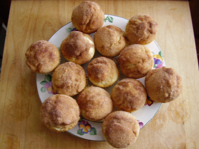 <img:stuff/muffins.jpg>