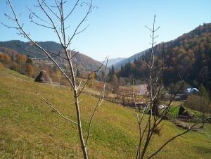 <img300*0:stuff/munte3.jpg>