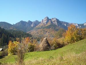 <img300*0:stuff/munte5.jpg>