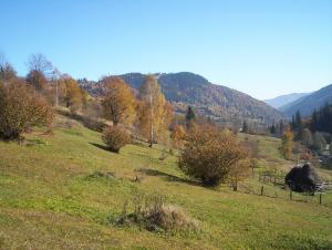 <img300*0:stuff/munte6.jpg>