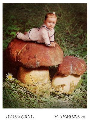 <img300*0:stuff/mushimushiroom.jpg>