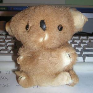 <img300*0:stuff/my%20Koala%20bear.jpg>