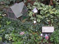 <img200*0:stuff/my%20home%20within%20the%20faery%20ring.jpg>